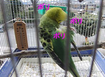 f0196665_08421.jpg