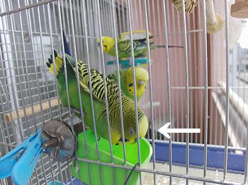 f0196665_085064.jpg