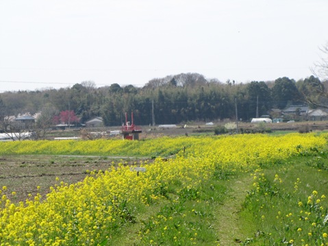 b0183566_7501324.jpg