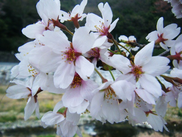 f0207970_18434251.jpg