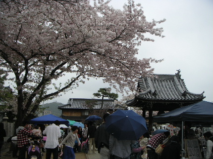 b0175571_0101899.jpg