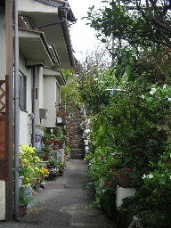 b0175571_0112278.jpg
