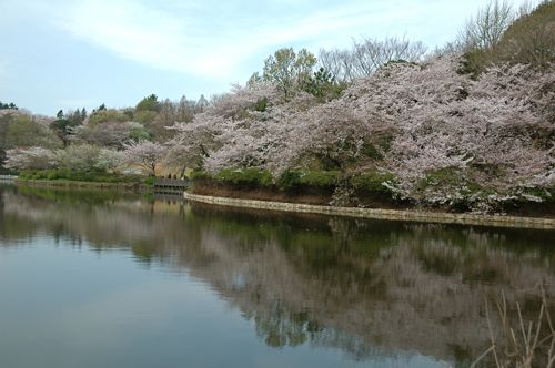 f0045872_13562272.jpg