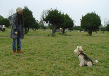 b0091373_323498.gif