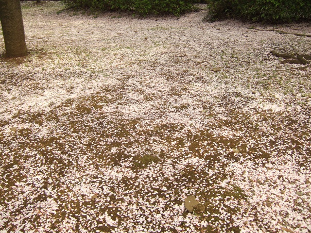 a0009079_1041275.jpg