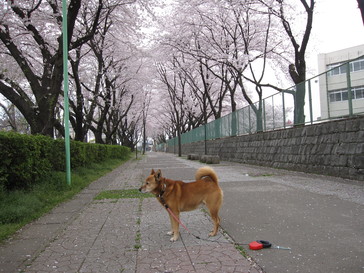 b0032079_052045.jpg