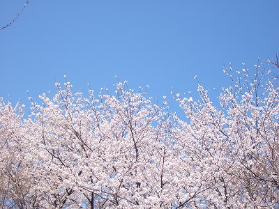 b0143879_20591111.jpg