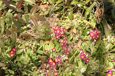 b0042882_0324875.jpg