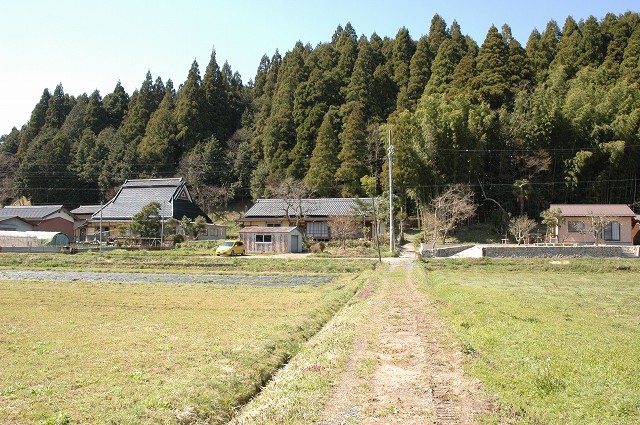 b0042882_0351244.jpg