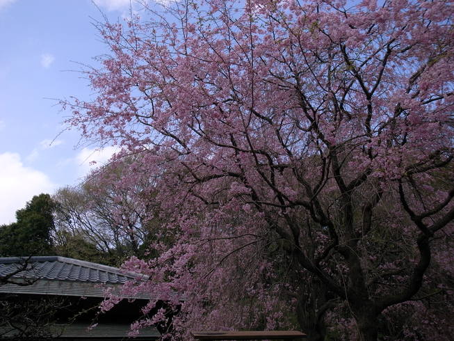 c0188784_2245022.jpg