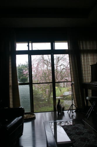 d0034988_1714489.jpg