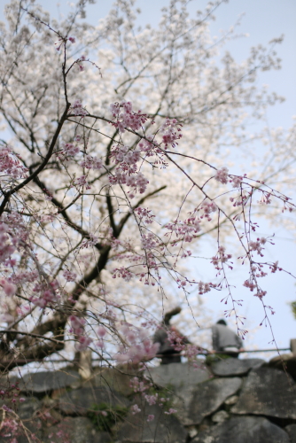 c0129498_1520051.jpg