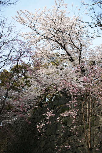 c0129498_15283817.jpg