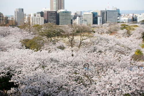 c0129498_164231.jpg
