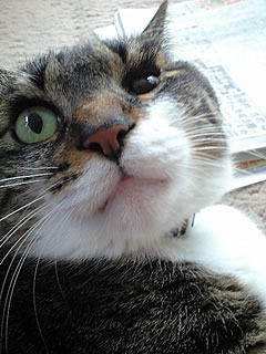 c0035001_1414382.jpg