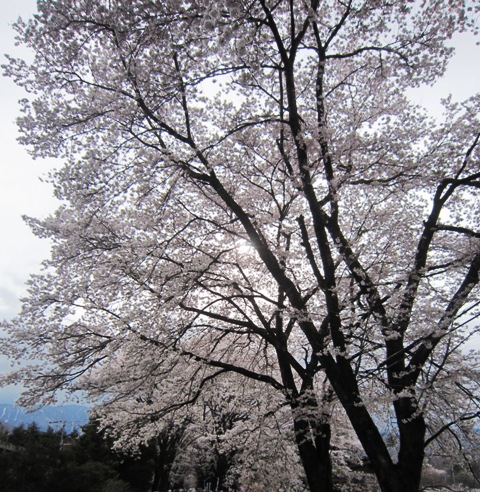 c0125702_21523760.jpg