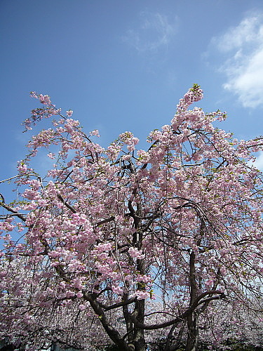 b0114403_18544879.jpg