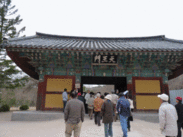 b0052108_17484516.gif