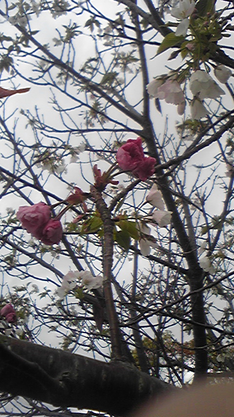f0014209_22211332.jpg