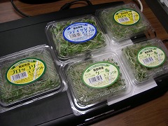 c0190010_2042593.jpg
