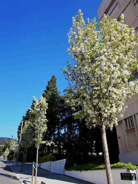 b0064411_714179.jpg