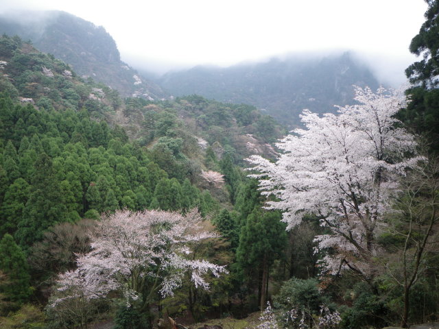 d0006512_23372781.jpg