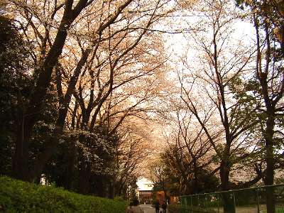 c0068314_3475970.jpg