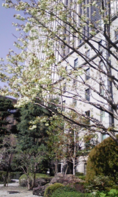e0009714_847084.jpg