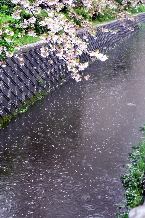 e0083517_5122533.jpg
