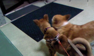 c0150520_23555625.jpg