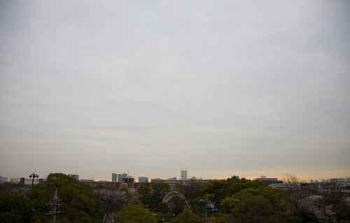c0182022_10254477.jpg