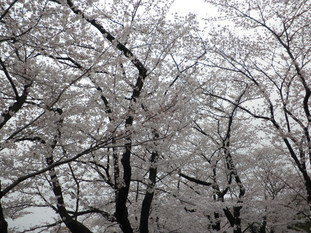 e0127622_2010343.jpg