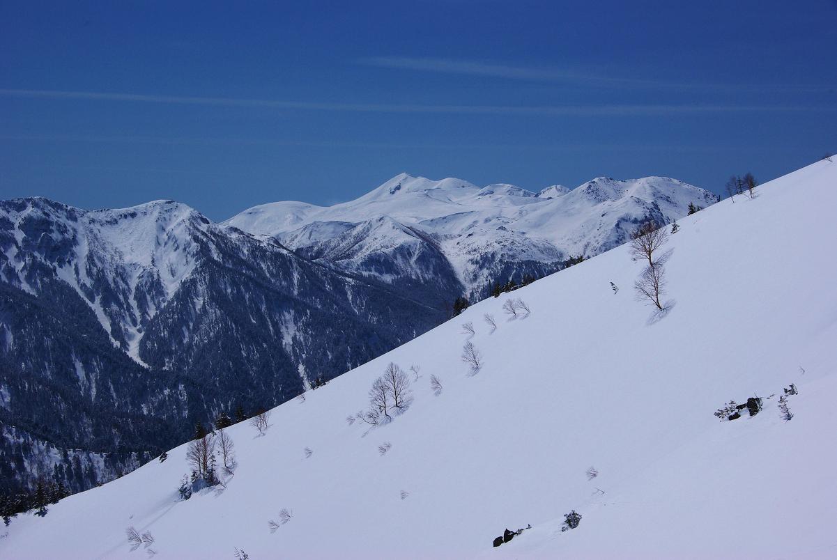 b0062024_830723.jpg
