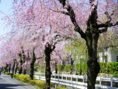 f0235026_1717412.jpg