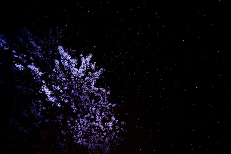 c0216331_046633.jpg