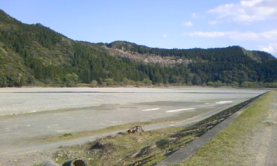 a0116442_143745100.jpg