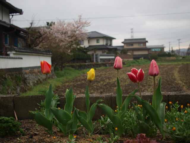 c0072843_16554129.jpg