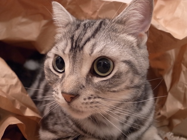 d0075945_21595071.jpg