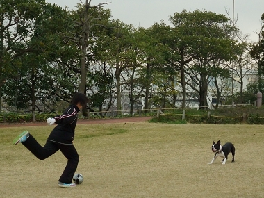 e0126046_23365482.jpg