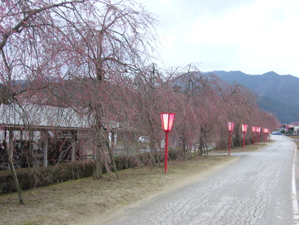 b0174451_18201489.jpg