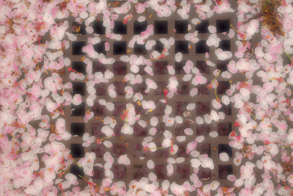 f0176353_22532795.jpg