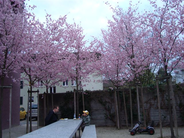 c0059063_32549.jpg