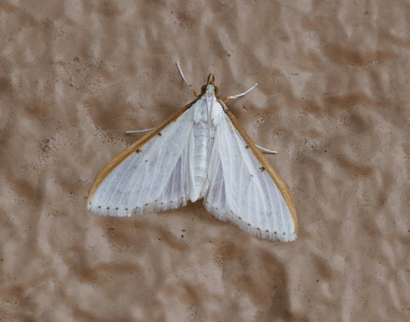 b0070071_11415356.jpg