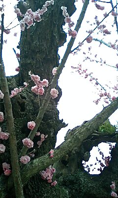 c0107673_13401688.jpg