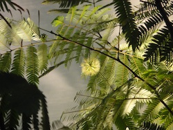 d0041074_1546524.jpg