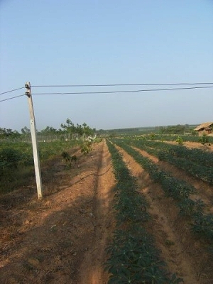 d0144077_2383255.jpg