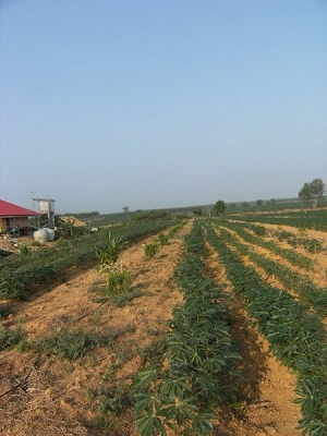 d0144077_2423991.jpg