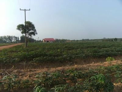 d0144077_245918.jpg
