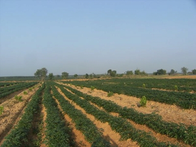 d0144077_2471840.jpg