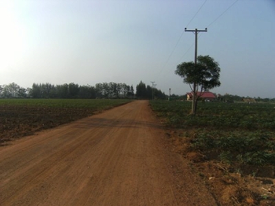 d0144077_2481586.jpg